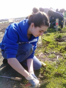 Volunteering for Save the Bay Volunteering for Save the Bay