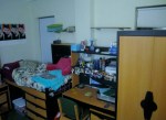 Sarah Wolfish – Dorm&nbsp;Room