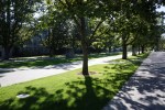 University of British Columbia Vancouver Campus&nbsp;8