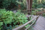University of British Columbia Vancouver Campus Stairs to Wreck&nbsp;Beach