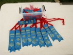 Dublin High School Special Olympics Soccer Competition Participation&nbsp;Ribbons