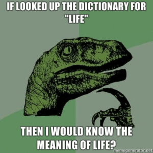 Meme - Then I would know the meaning of life
