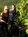Rebecca and friend Harvesting Grapes in Tuscany&nbsp;Italy