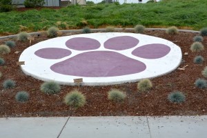 Murray Elementary School