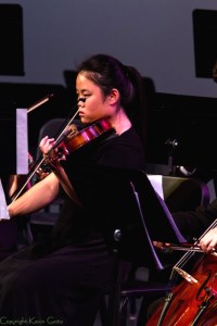 DHS_orchestra_viola